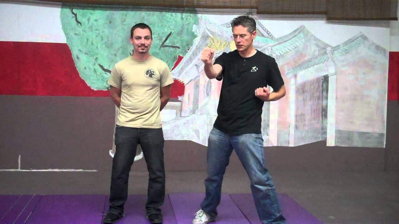 Secrets of Ip Man Wing Chun Dan Chi Sau Introduction