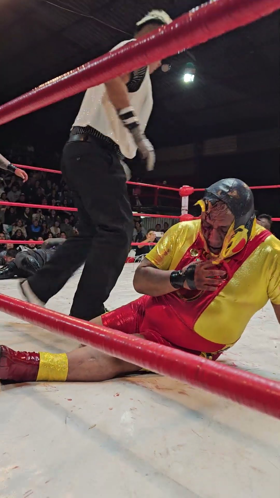 Triunfo de los Porros NG ante Demus, Joe Líder y Súper Pinochito con BOOM