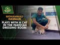 Mohammad hasnain plays with a cat in the pakistan dressing room  pcb  ma2t