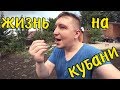 Изменения на мамином участке // Покупка в магазине DNS // О жилье на Кубани // Вечерняя прогулка