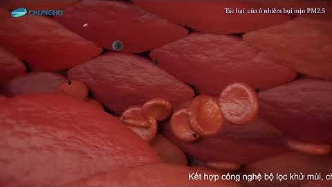 Tác hại của ô nhiễm và bụi mịn đến sức khỏe và não của trẻ nhỏ.