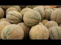 What does this 14 pound bag of melons mean for gamers?