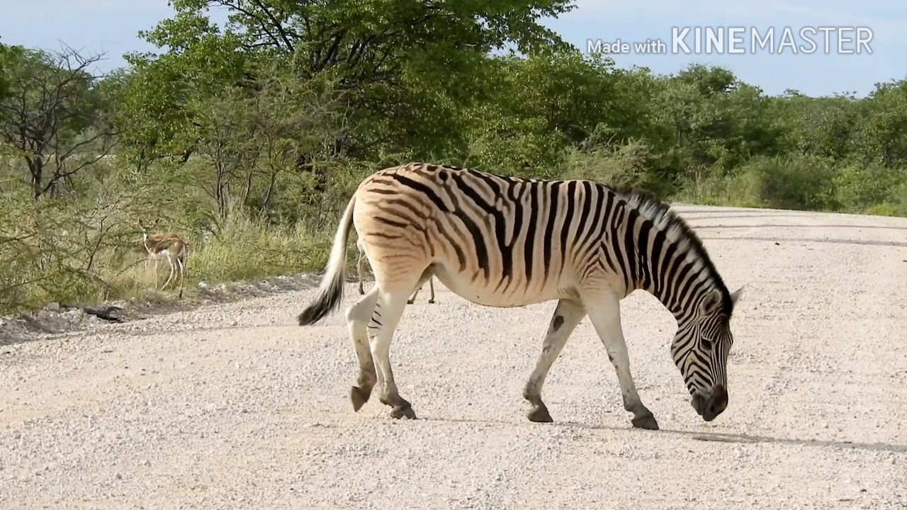 Namibia January 2018