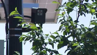 Vandals target AI powered surveillance cameras