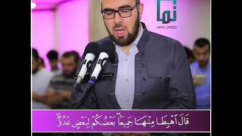 سورة طه (١٢٣-١٢٧)
