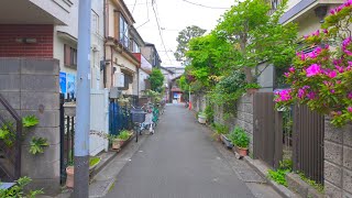 Walking Old Town Horikiri, Tokyo/4K 60fps HDR