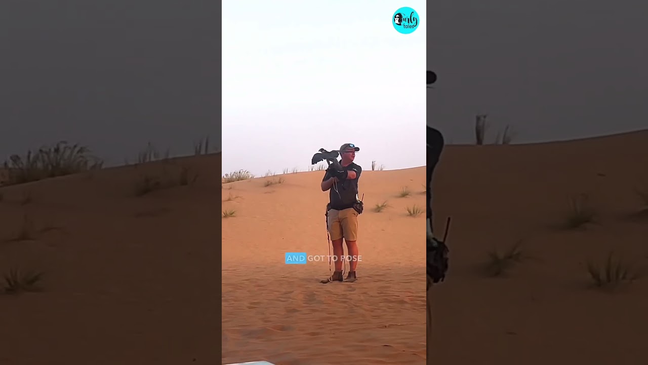 Dubai’s No.1 Luxury Desert Safari Platinum Heritage | Curly Tales ME 