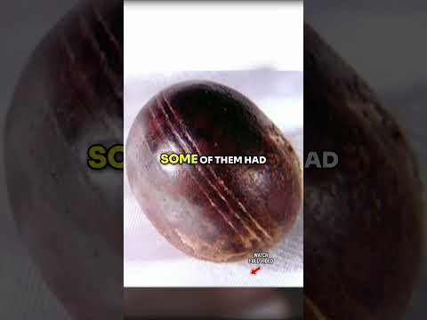 Extraterrestrial Stone Spheres Found in South Africa (Mind-Blowing Discovery!) #shorts
