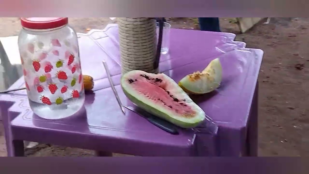 COLHEITA E LIMPA DE MILHO PESCARIA E BOAS COMPANHIAS