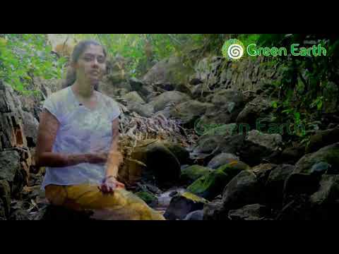 Video: I 10 Migliori Centri Di Pranic Healing A Bangalore