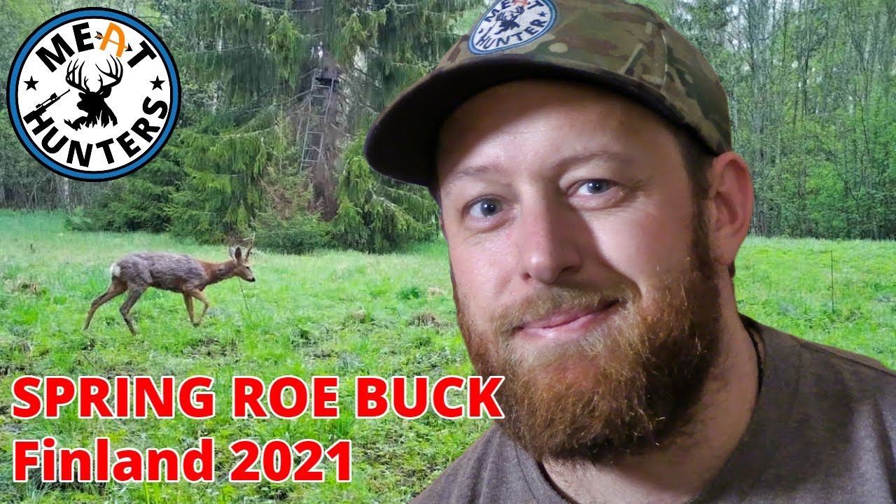 Spring Roe Buck Bow Hunting Finland 2021 YouTube