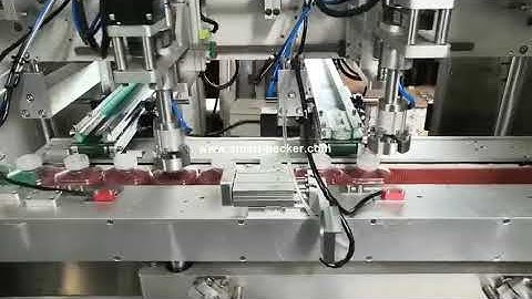 Automatic bottle tracking type bottle crew capping machine with two heads