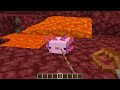 new bug in minecraft 1.17