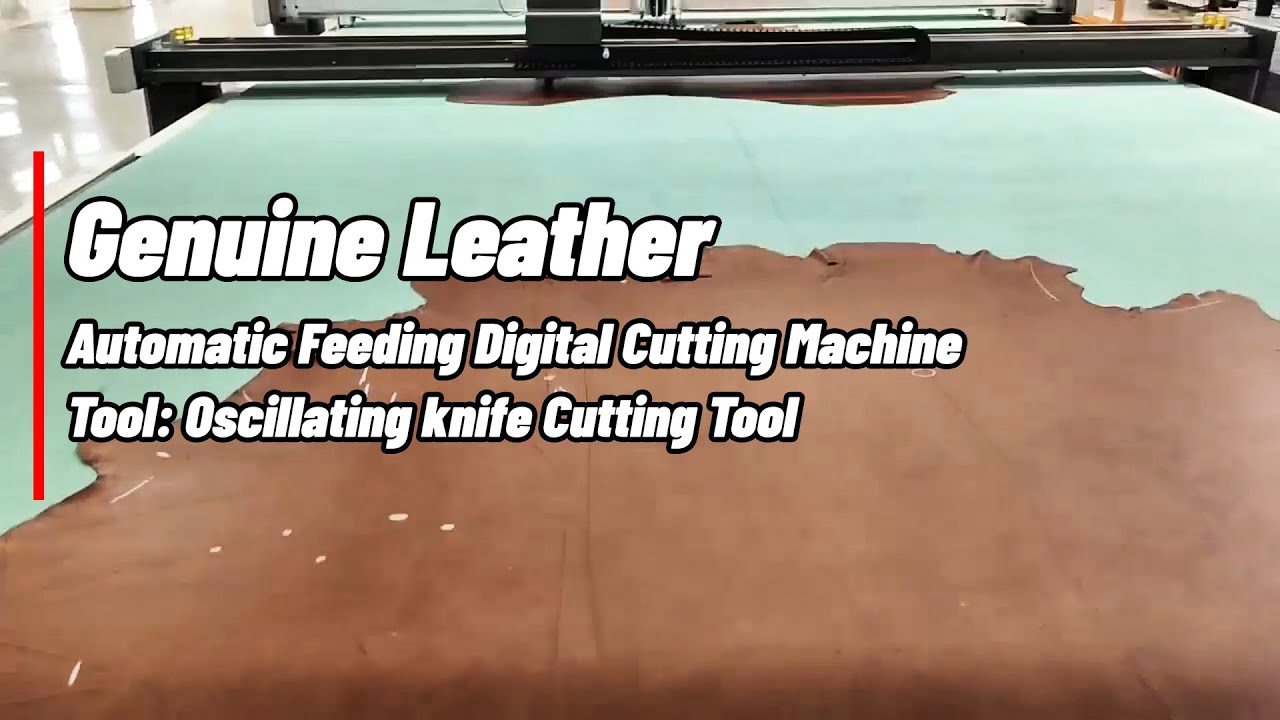 Large format double beam genuine leather cutting machine with oscillating knife tool