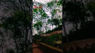 news 📰 Megha jungle travelling viral video trending video #ytshorts #varsha1985 #mlbb #monetize 🙏🌹❤️