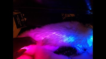 DotStar RGB LED test with the Raspberry Pi Zero W