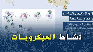 الدرس21.20 علوم طبيعية الرابعة متوسط نشاط الميكروبات في العضوية عوشت للعلوم