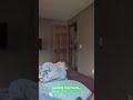 Funny Instagram Comments | Part 119