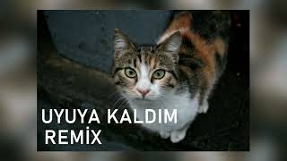 Uyuya Kaldım Kedi Remix - Cem Karagöz  | Tiktok Remix /LOOK, I'M GAY Cat Remix Resimi