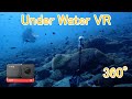 【360° UnderWater-VR】ScubaDiving in Osezaki【Insta360 ONE R】【4K】