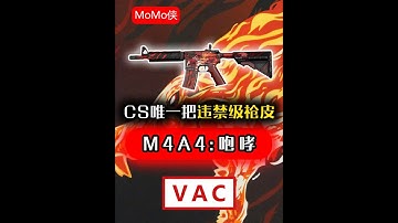 CS唯一一把违禁金色枪皮：咆哮-到底是如何诞生的 #游戏 #cs #cs2 #csgo