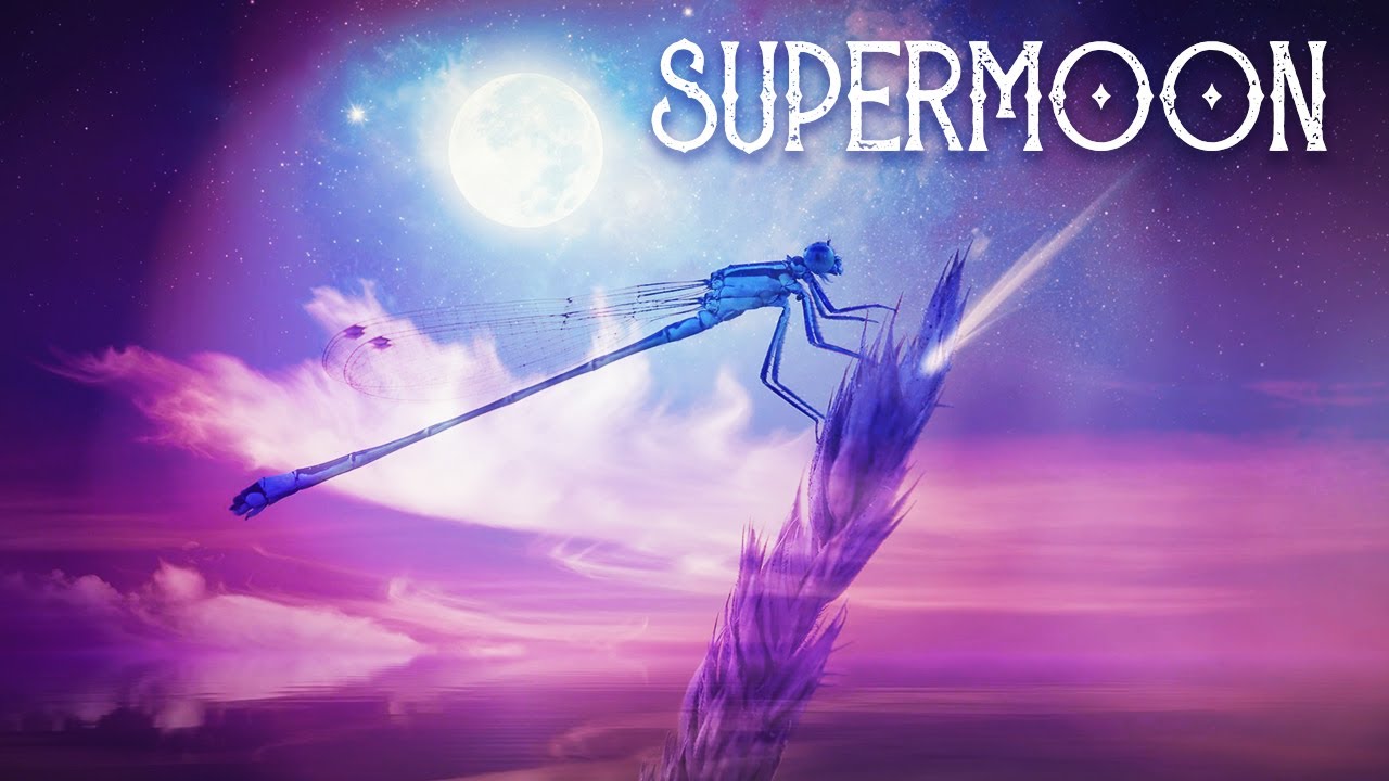 SUPERMOON IN AQUARIUS | AUG. 11 | Ultimate Transference