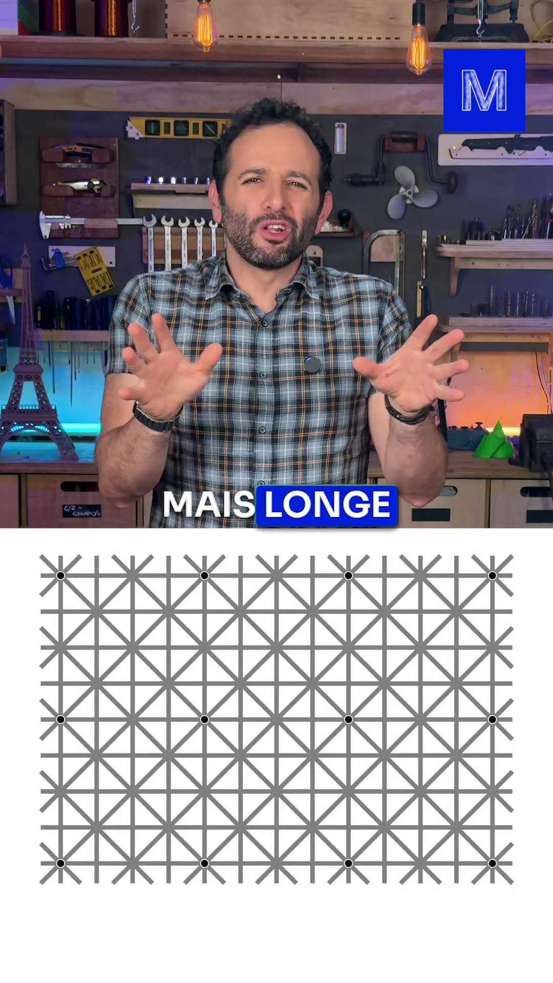 Quantos PONTOS PRETOS tem na imagem?