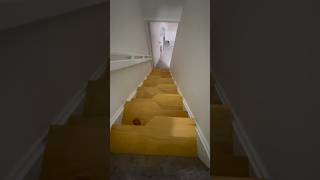 Compact Staircase Solution