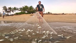 DAPAT KAWANAN PELATA TERUS BUAT IKAN KERING ! | Traditional Cast Net Fishing