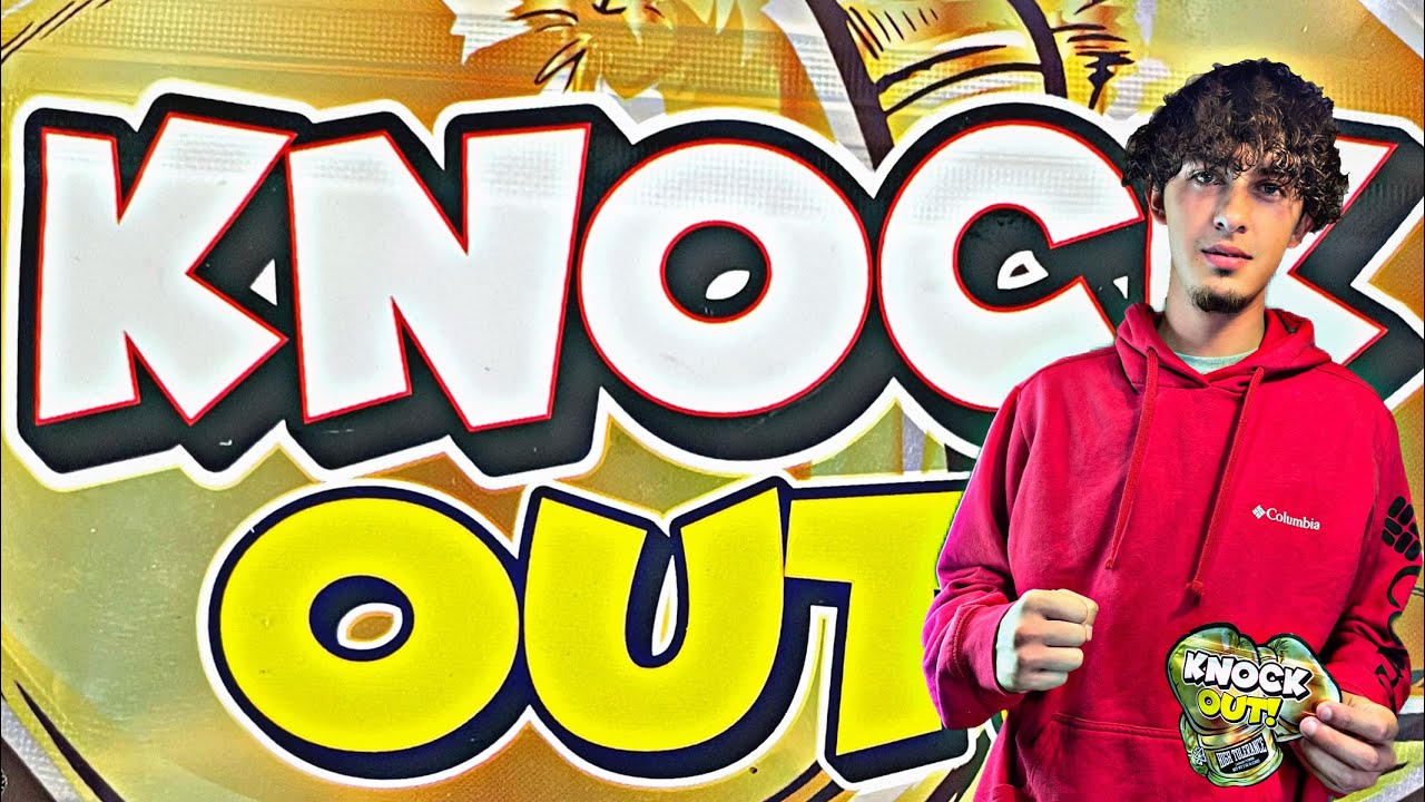 KNOCK OUT 🥊 by JIM JONES high tolerance exotic weed strain review #420 #gas #viral #zaza #exotic