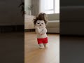 lal lal bangadi❤️😂#shortvideo #cats