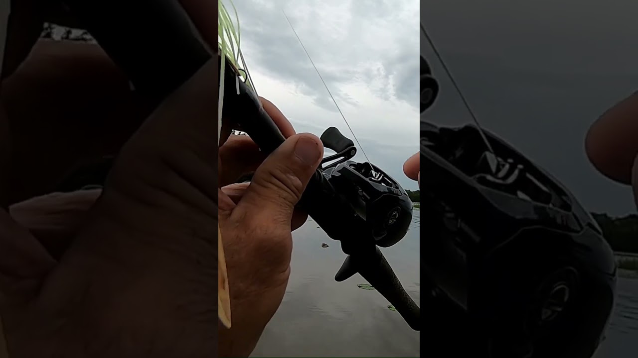 Daiwa Tatula CT100H Baitcaster Review