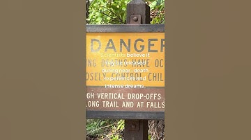 DMT The Brains Spirit Molecule.