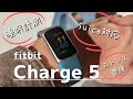 【Suica対応】fitbit Charge5購入レビュー 睡眠計測で日々の疲れを見える化しよう （設定方法も簡単にご紹介）