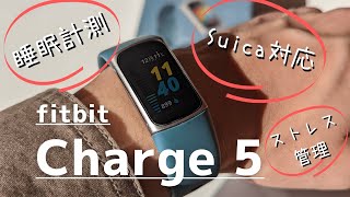 【Suica対応】fitbit Charge5購入レビュー 睡眠計測で日々の疲れを見える化しよう （設定方法も簡単にご紹介）