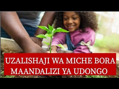 Video: Mbolea hubadilisha pH ya udongo?