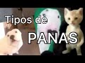 Tipos de panas 