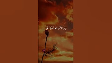 أذكـرو الله ##اذكرو_الله #لا_اله_الا_الله القرآن_الكريم #تلاوة_خاشعة #تلاوة_هادئة #اذكرو_الله