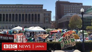 米大学での「反ガザ攻撃デモ」、キャンパス内で何が　学生らの思いは