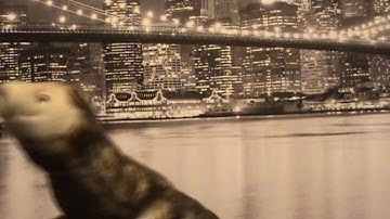 Web 2.0: Randy Weasel Explains It All