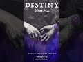 Destiny Wrote Him