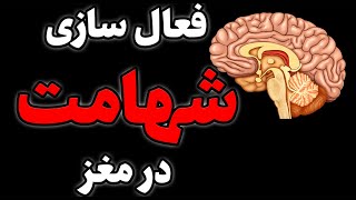فعال سازی شهامت و اعتماد به نفس در مغز ویژه ایران