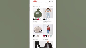 Custom color swatches collection page #shopify #swatches