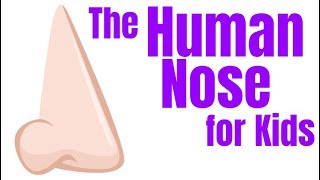 The Human Nose for Kids