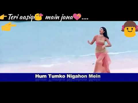 Hum Tumko Nigahon Mein|whatsapp status video|Hindi Movies |Udit Narayan |garv|romantic status|female