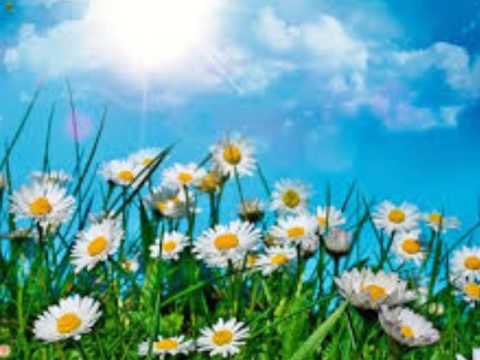 დედამიწა ჩვენი სახლია