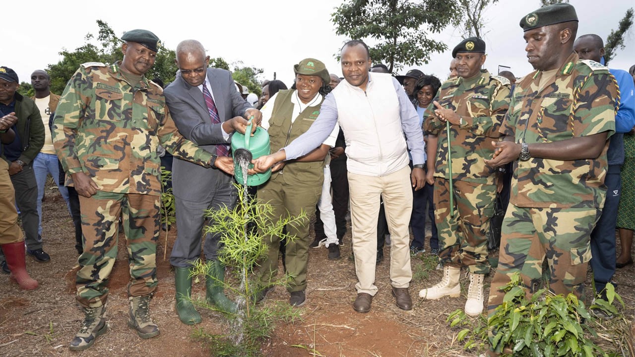 CBK@60: Rooted in Legacy Tree Growing at Karura Forest