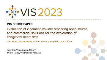 Evaluation of cinematic volume rendering open-source and commercial solutions for the exploration o