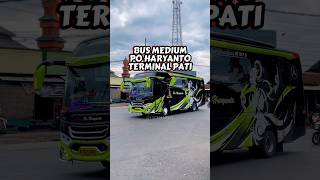 Bus Po Haryanto Versi Mini, Medium Bus Pariwisata Sepertinya Armada Bantuan Untuk Langsir Penumpang