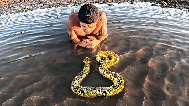Exploring For Venomous Sea Creatures In Tide Pools